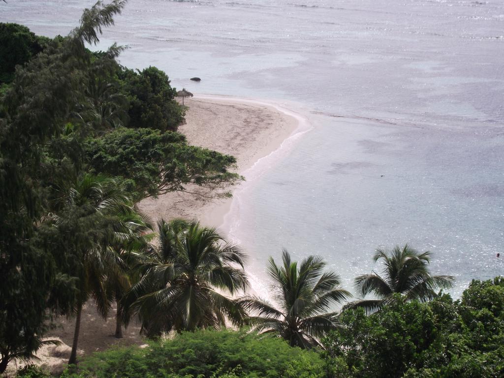 L'Oiseau Du Paradis Vue Mer Studio A Saint Francois A 100 M De La Plage חדר תמונה