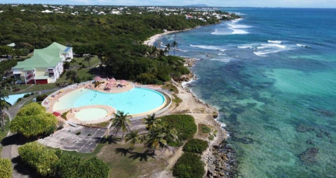 L'Oiseau Du Paradis Vue Mer Studio A Saint Francois A 100 M De La Plage מראה חיצוני תמונה