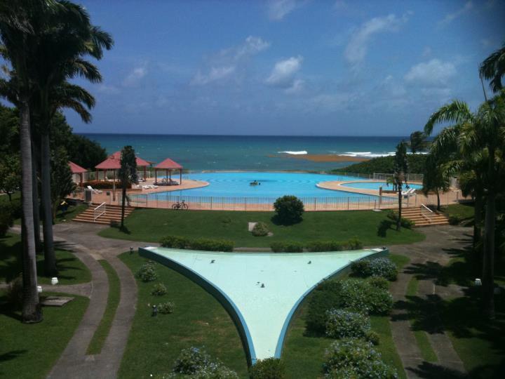 L'Oiseau Du Paradis Vue Mer Studio A Saint Francois A 100 M De La Plage חדר תמונה