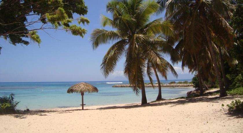 L'Oiseau Du Paradis Vue Mer Studio A Saint Francois A 100 M De La Plage מראה חיצוני תמונה