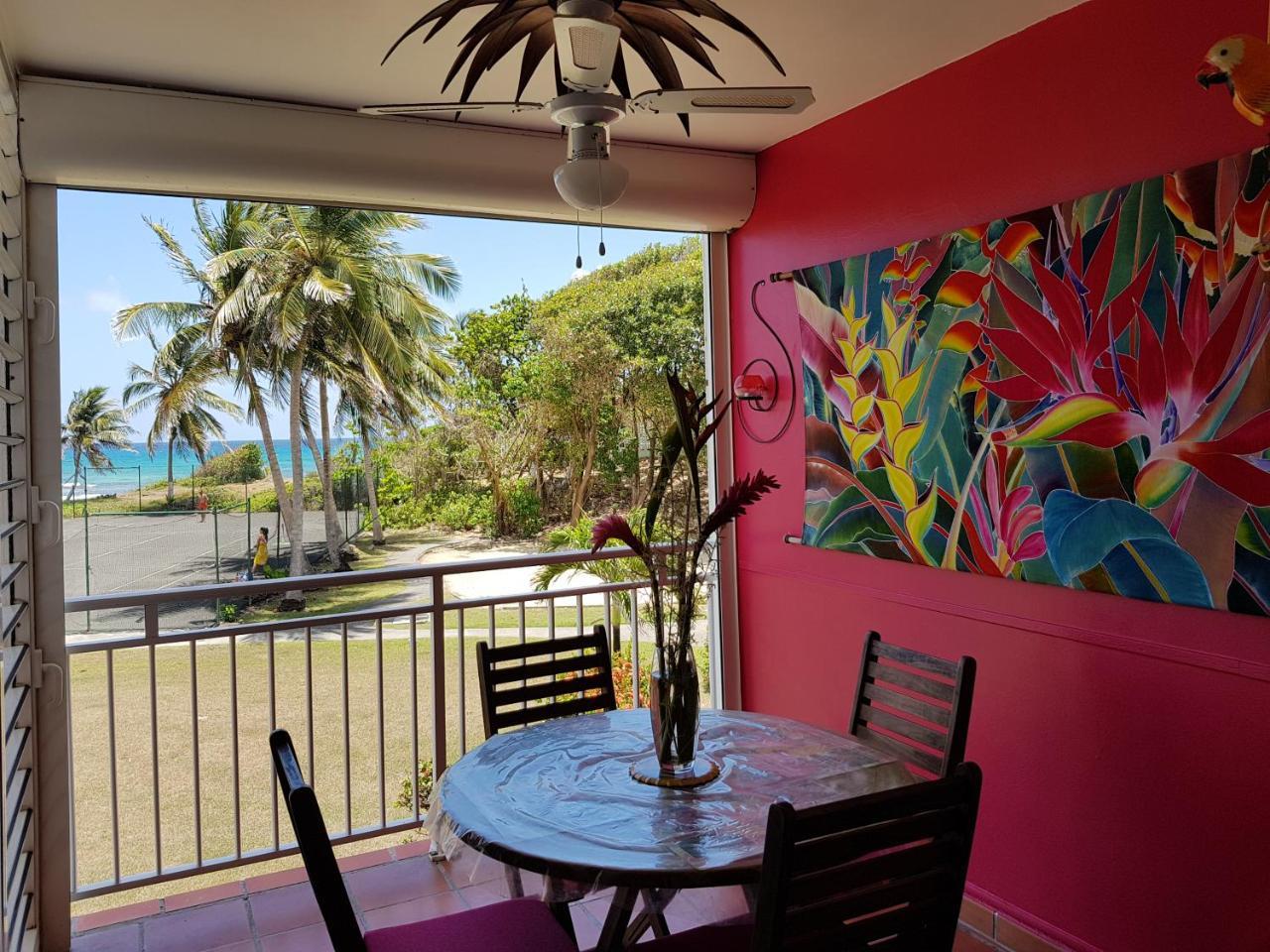 L'Oiseau Du Paradis Vue Mer Studio A Saint Francois A 100 M De La Plage מראה חיצוני תמונה